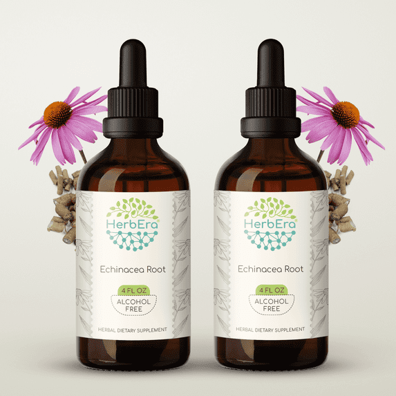 HerbEra Echinacea Root Tincture, Herbal Dietary Supplement for Respiratory Health Support, Echinacea (Echinacea purpurea) Dried Root Extract, Natural, Alcohol-Free, Drops 2x4 oz