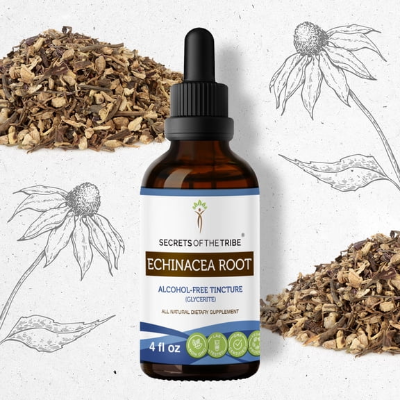 Secrets Of The Tribe Echinacea Root Tincture Dietary Supplement, Natural Herbal Extract for Respiratory Health Support, Echinacea (Echinacea purpurea) Dried Root, Alcohol-Free Extract, Drops 4 oz