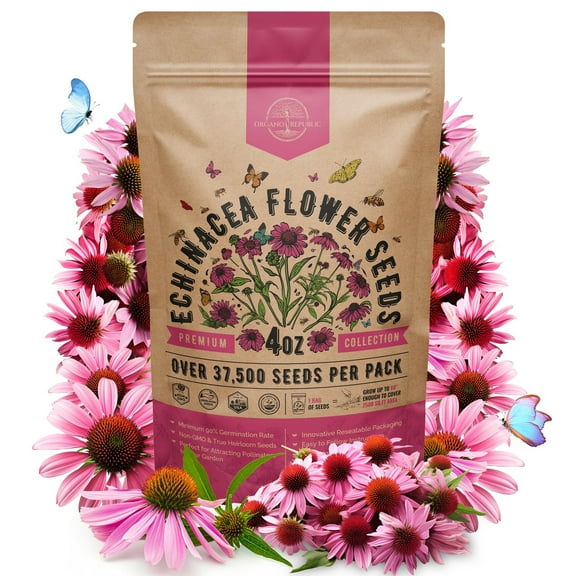 Echinacea Seeds Pack 4 oz – 37,500 Non-GMO Heirloom Seeds for Planting Indoors & Outdoors – Resealable Bag, Pollinator-Friendly Wildflowers, High Germination – USA Grown