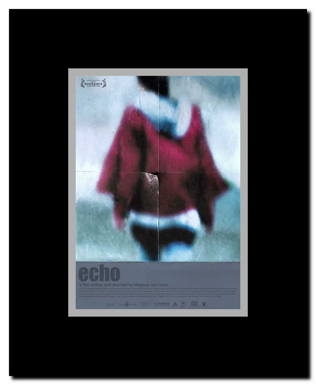 Echo Framed Movie Poster