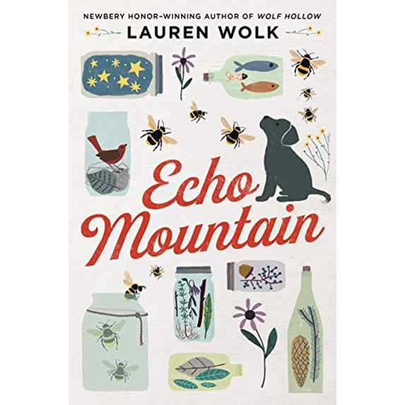 Pre-Owned Echo Mountain (Hardcover) 0525555560 9780525555568