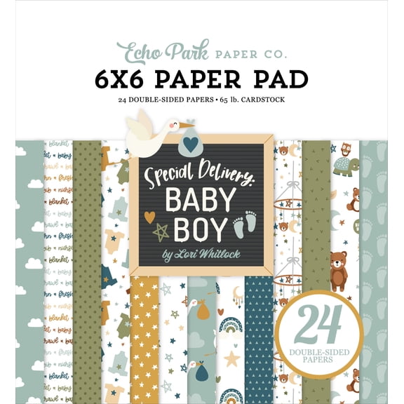 Echo Park Double-Sided Paper Pad 6"X6" 24/Pkg-Special Delivery Baby Boy