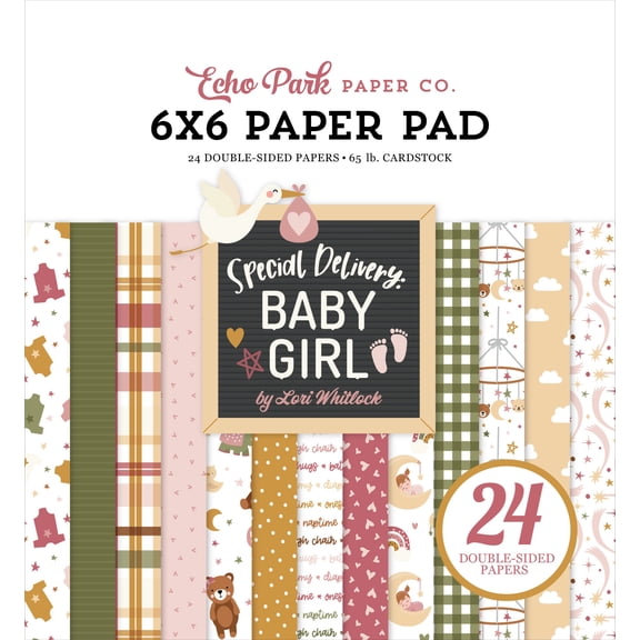 Echo Park Double-Sided Paper Pad 6"X6" 24/Pkg-Special Delivery Baby Girl