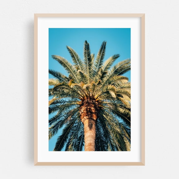 Echo Park Palm - Los Angeles California Photography Palm Tree Tropical Nature Summer Botanical Minimalist Oak Framed Wall Art Print 5 x 7 inches
