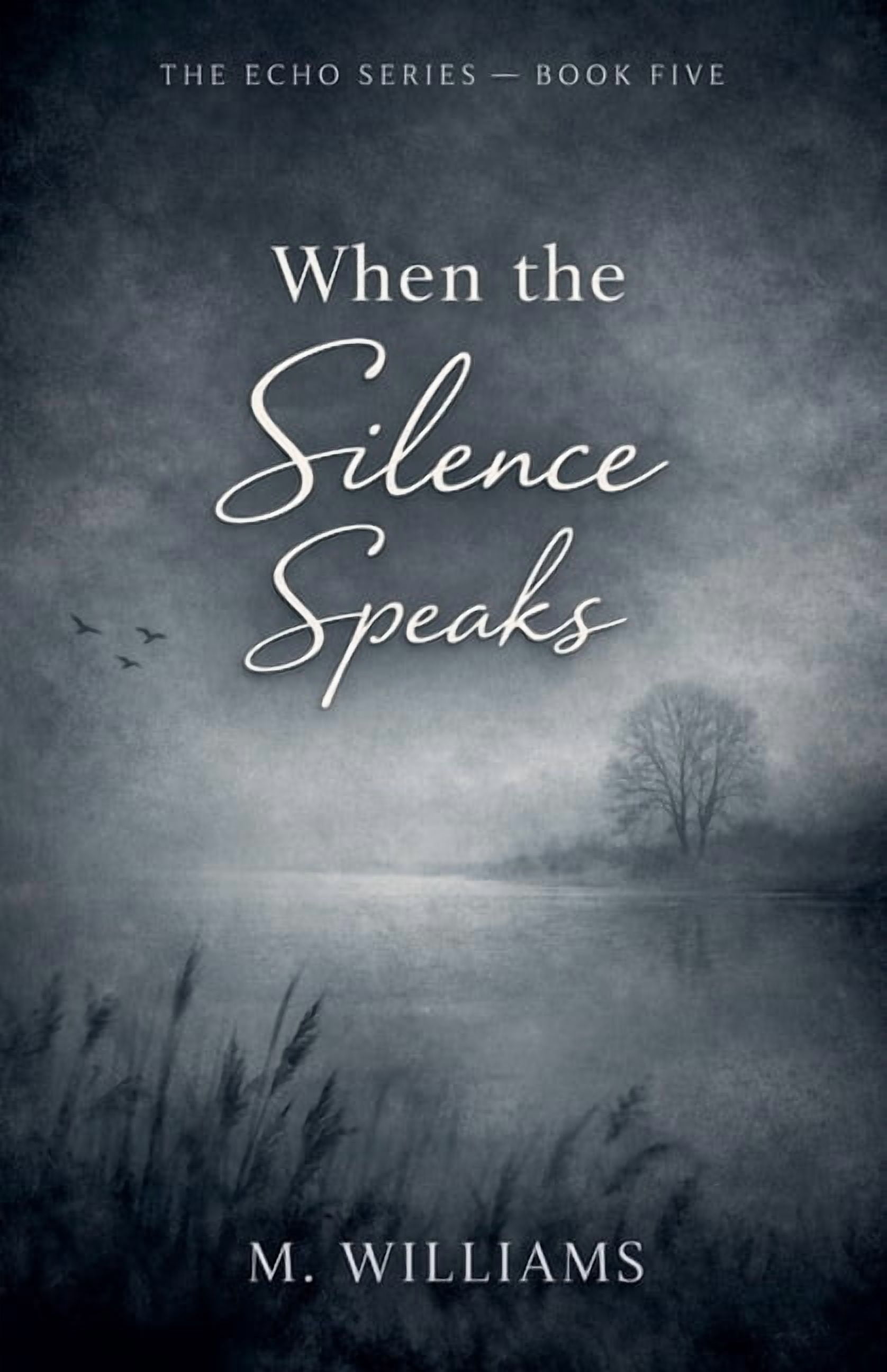 Echo When the Silence Speaks, Book 5, (Paperback)