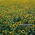 thumbnail image 1 of Echo & the Bunnymen - Me I'm All Smiles - CD, 1 of 2