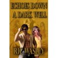 thumbnail image 1 of Echoes Down a Dark Well, 1 of 1