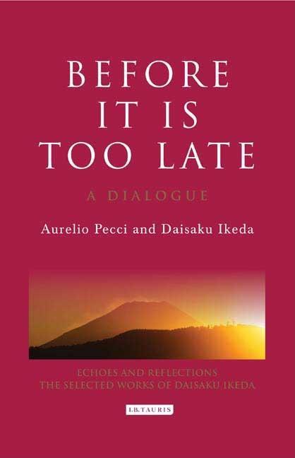 Echoes and Reflections: Before it is Too Late: A Dialogue (Hardcover) - image 1 of 1