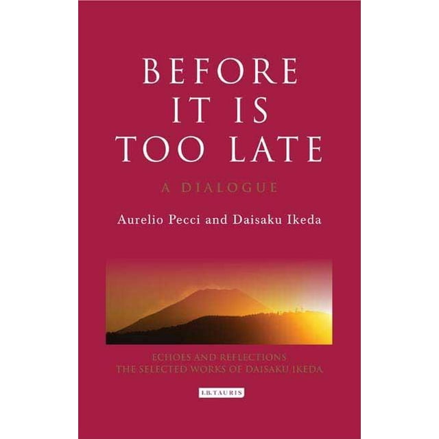 Echoes and Reflections: Before it is Too Late: A Dialogue (Hardcover)