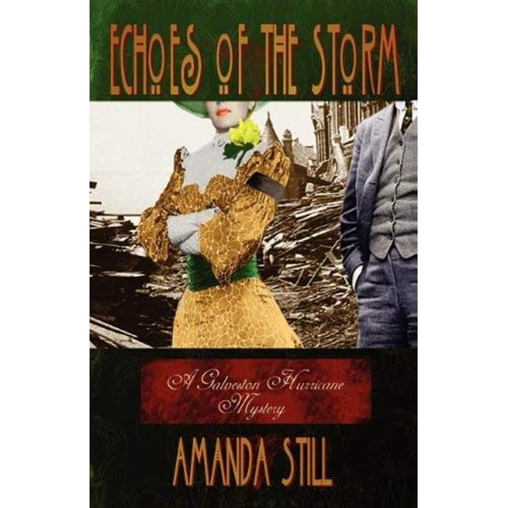 Pre-Owned Echoes of the Storm (Paperback) 9780615466897