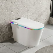 Eclife Smart Bidet Toilet Seat, Auto Flush Heated Seat Warm Wash Dry, Massage Clean, White, 1 Piece