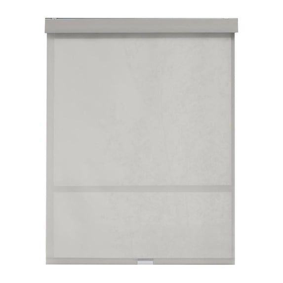 Eclipse Solar Cordless Light Filtering Privacy Roller Shade, Grey, 48 x 72