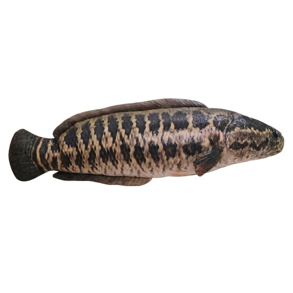 EclipseJewels Simulated Fish Plush Toy - Realistic Stuffed Fish Doll Soft Handheld Sleeping Toy for Children's Gift, Home Decor,A