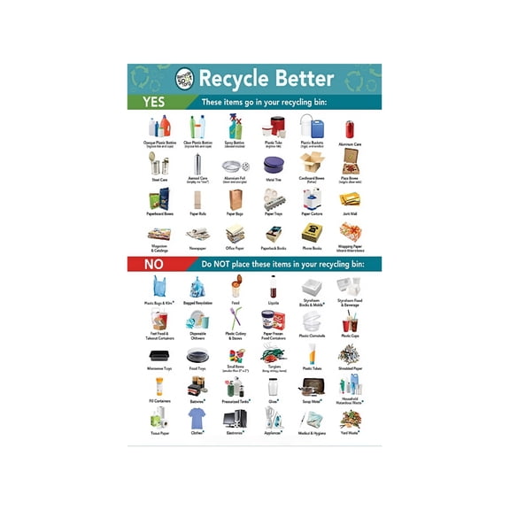 Eco Education Poster Single Stream Recycling Chart Wall Art for Kids Room Classroom and Science Fair Display