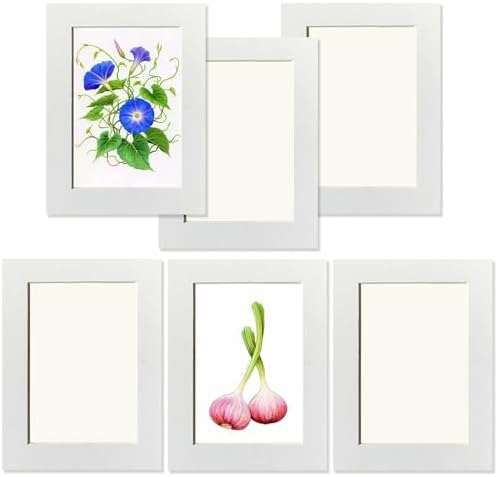 Eco-Friendly 8x6 Inch Cardboard Photo Frame Set of 6 | Cream White ...