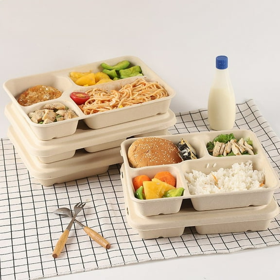Eco-Friendly Disposable 4-Compartment Lunch Box with Lid | Pulp Paper Tray | 22.5X17.5X4Cm | Biodegradable & Sturdy for Picnics, Parties & Takeout