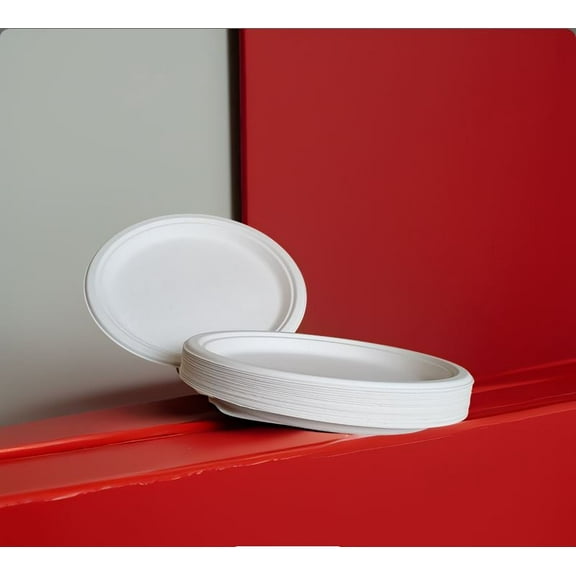 Eco-Friendly Disposable Plates 10 Inch Sturdy, Biodegradable Party Plates for Events, Birthdays, and Daily Use (Pack of 25, Round/White)