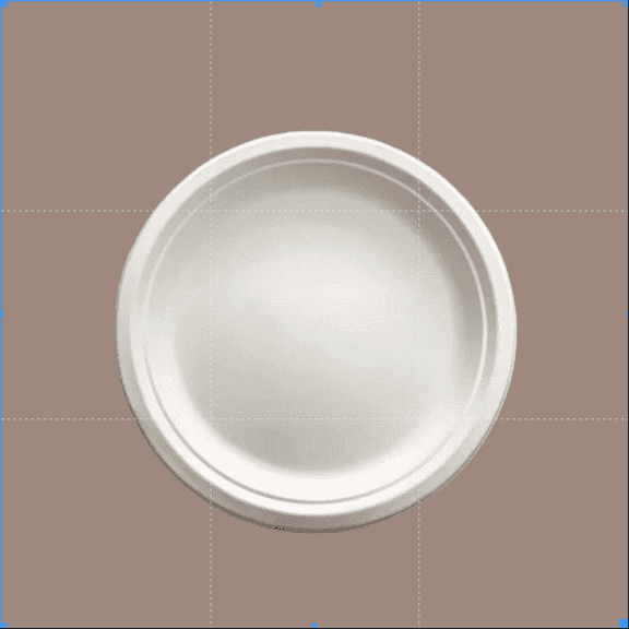 Eco-Friendly Disposable Plates 11 inch Sturdy, Biodegradable Party Plates for Events, Birthdays, and Daily Use (Pack of 25, Round/White)