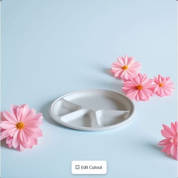 Eco-Friendly Disposable Plates 12 Inch 4 compt Sturdy, Biodegradable Party Plates for Events, Birthdays, and Daily Use (Pack of 25, Round/White)