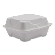 Eco-Products EP-HC6NFA Vanguard 6 in. x 6 in. x 3 in. Renewable and Compostable Sugarcane Clamshells - White 500/Carton