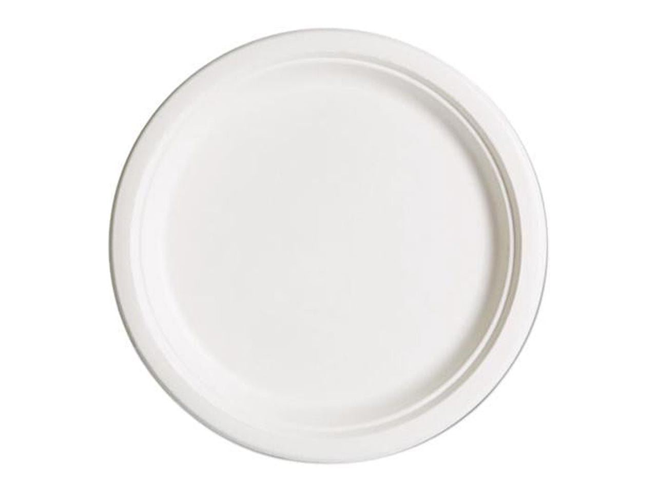  SUT Compostable Disposable Paper Plates 100 Pcs 10 Inch, 3  compartment paper plates, Eco-Friendly Heavy-Duty White Paper Plates,  Biodegradable Plates Made of Biodegradable Natural Sugarcane Fibers :  Everything Else