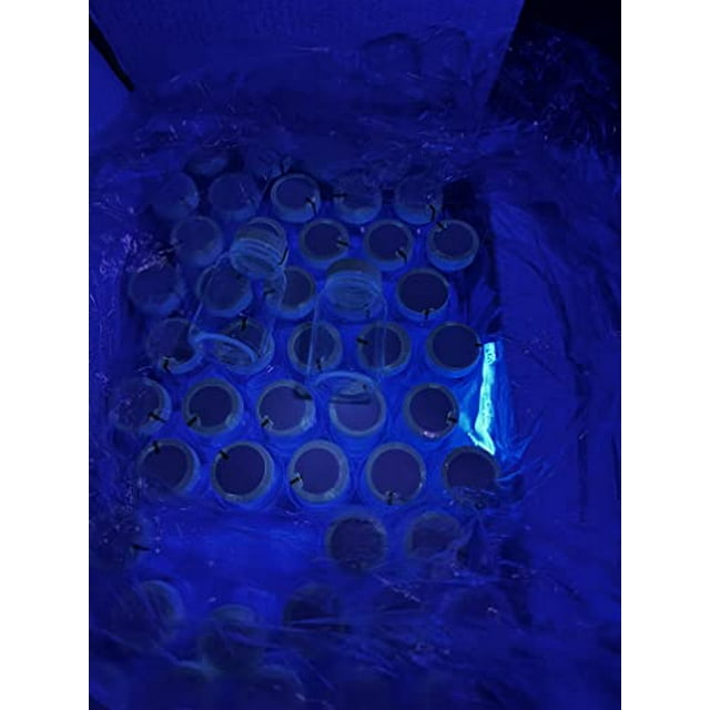 EcoSensa 100ml Water Sampling Bottles for Water Safety Test,Sterile