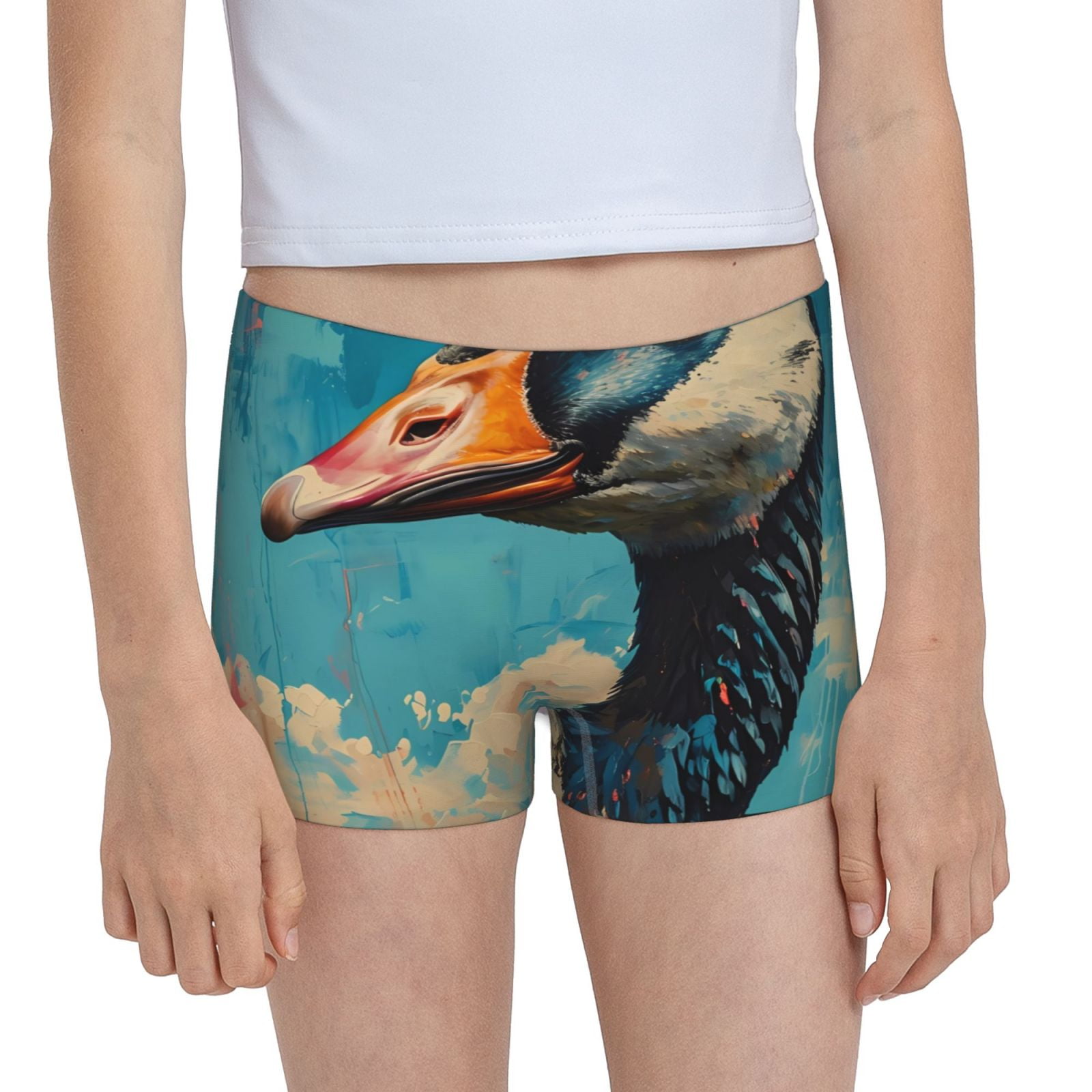 Easygdp Blue Watercolor Duck Girls Hipster Cotton Underwear Little