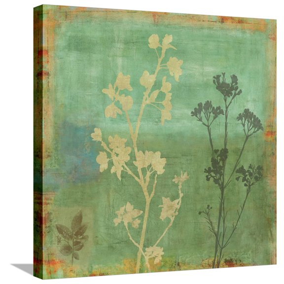 Art.com Eco-friendly I Stretched Canvas Print Wall Art by Chris Donovan, 24" x 24"