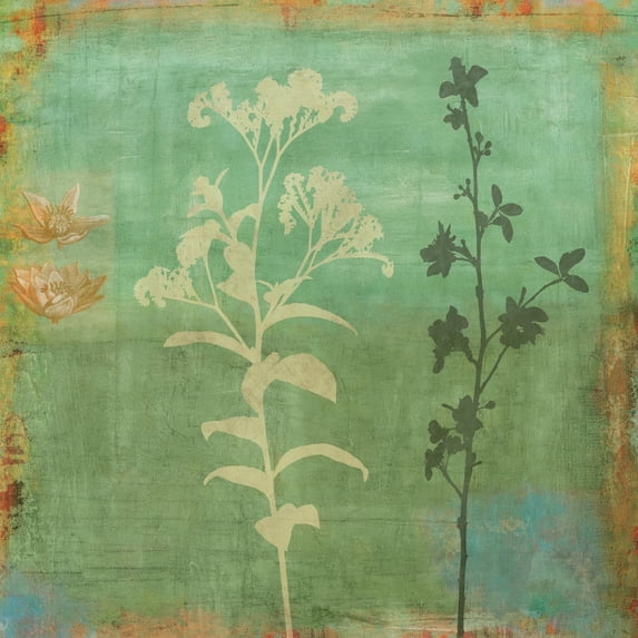 Art.com Eco-friendly II Art Print by Chris Donovan, 24" x 24"