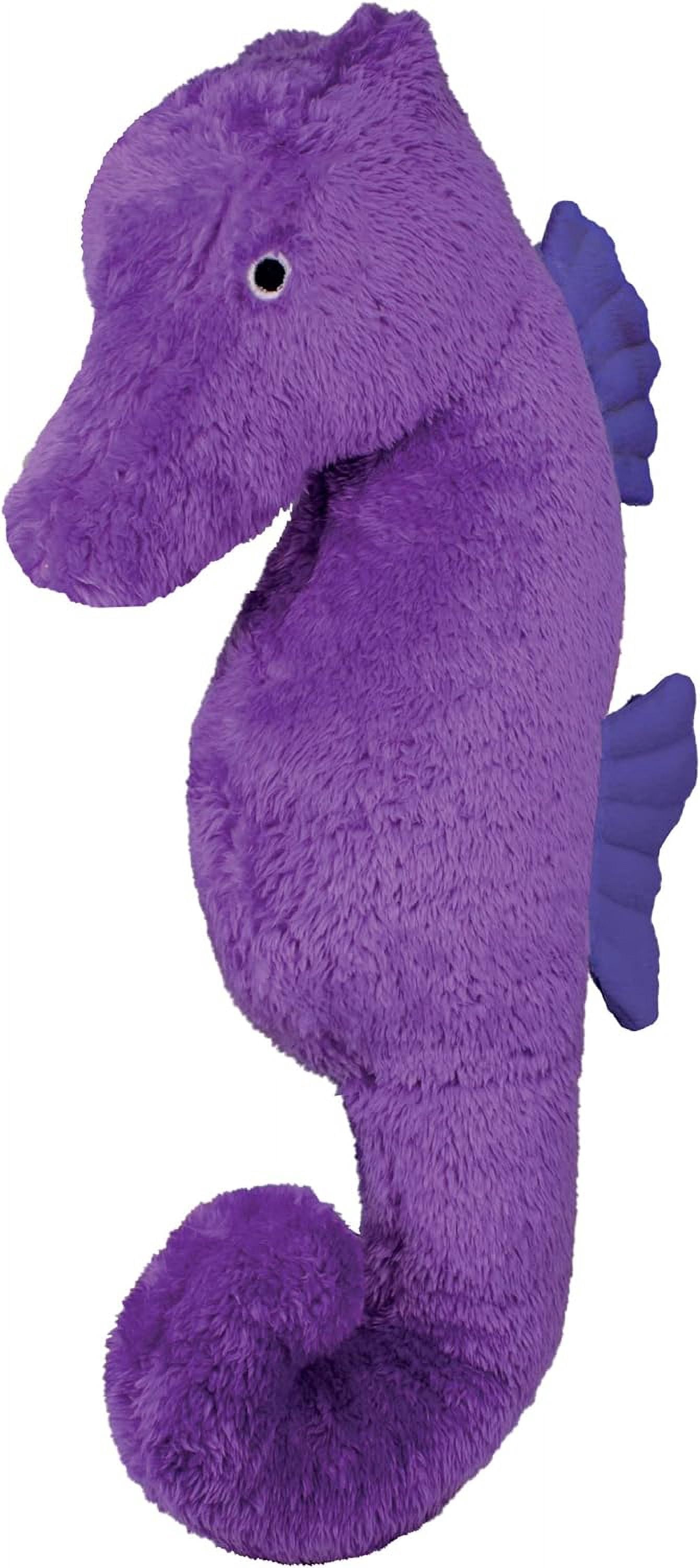 Seahorse