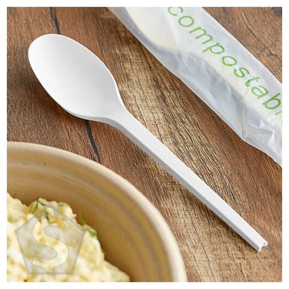 EcoChoice Wrapped Heavy Weight Compostable 6 1/2" White CPLA Spoon - 500/Case