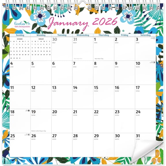 EcoEarth 12-Month Wall Calendar, Patterns, 8" x 6", 2026 Calendar