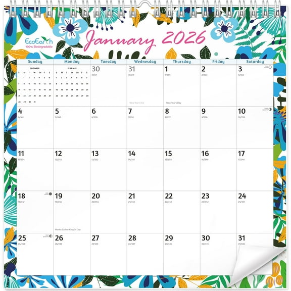 EcoEarth 18 Month Wall Calendar, Patterns, 8" x 6", July 2025 - December 2026