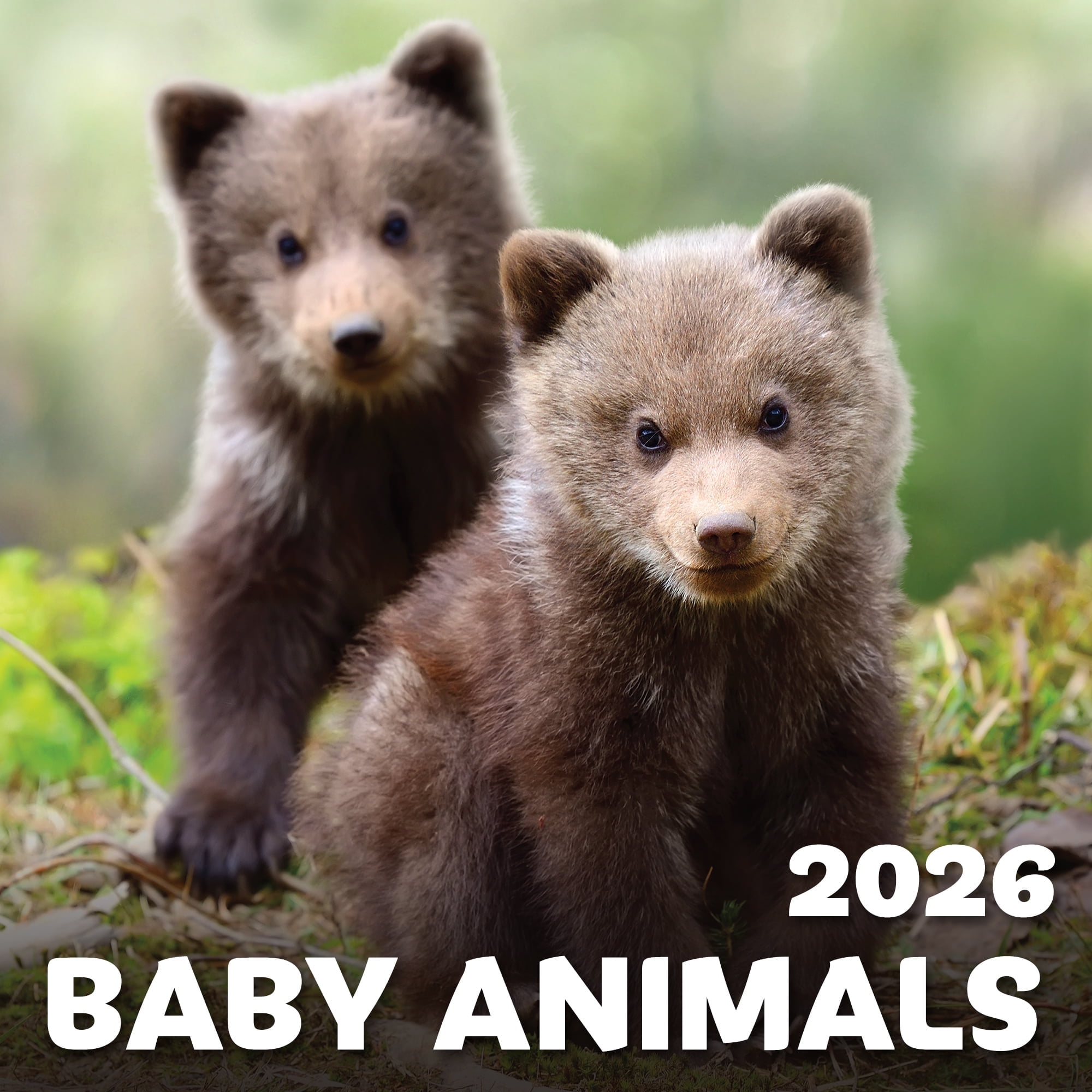 EcoEarth 12 Month Vertical Wall Calendar, Baby Animals, 11" x 17", Jan 2026-Dec 2026
