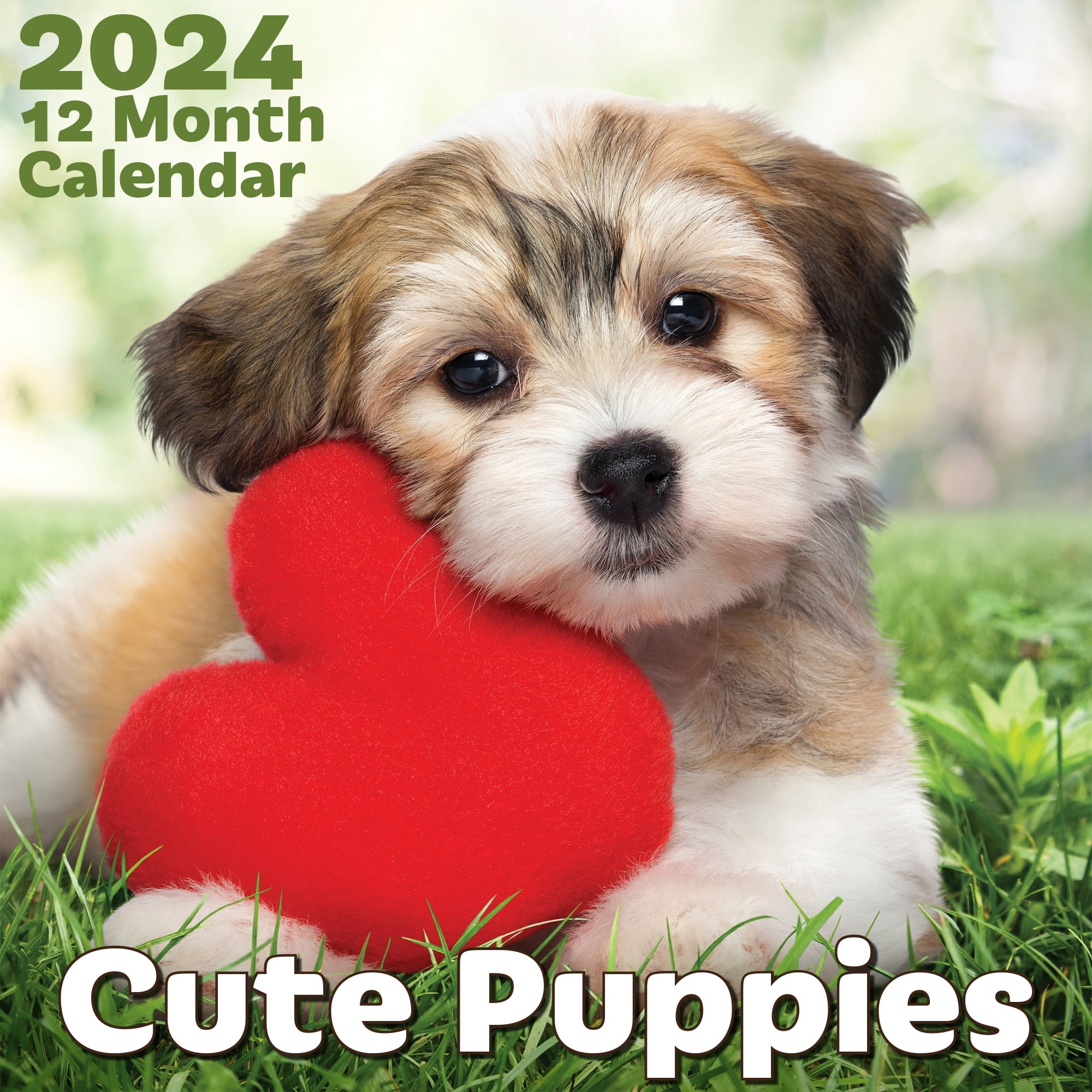 EcoEarth 12Month Wall Calendar for 2024, Vertical 11x22 Hanging Cute