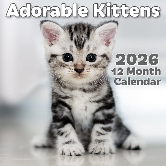 EcoEarth 12-Month Vertical Wall Calendar, Cute Kittens, 11" x 17", 2026 Calendar