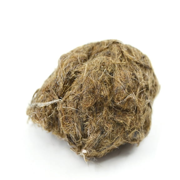 EcoExploration Simulated Owl Pellet with Bird by Eisco Labs - Realistic Educational Tool for Biology and Ecology, Reusable, 3x2 Inches - Made in USA (Pack 5)