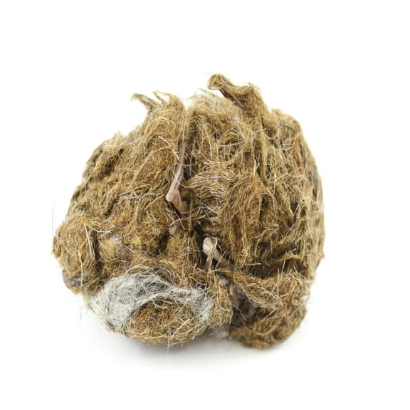 EcoExploration Simulated Owl Pellet with Mouse by Eisco Labs - Realistic Educational Tool for Biology and Ecology, Reusable, 3x1.5 Inches - Made in USA