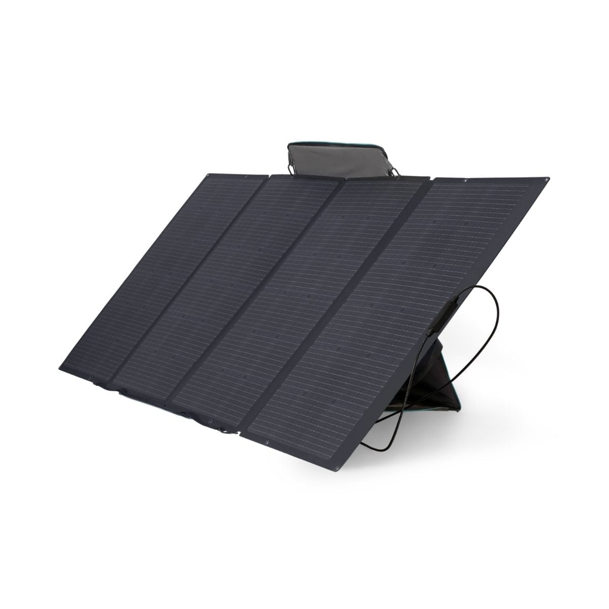 EcoFlow 110W Portable Solar Panel, Foldable & Adjustable Stand
