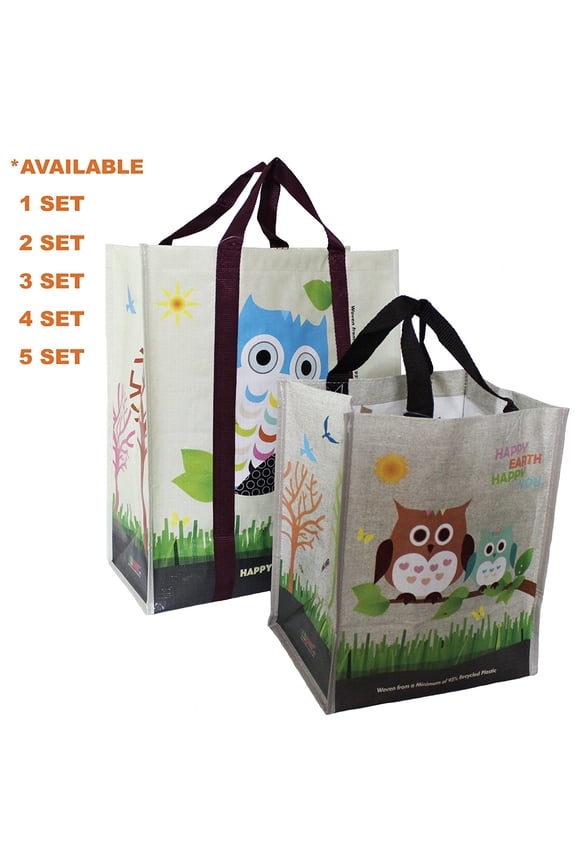 (2 Pcs) Laminated Bag Recycled Plastic Woven Reusable Shopping