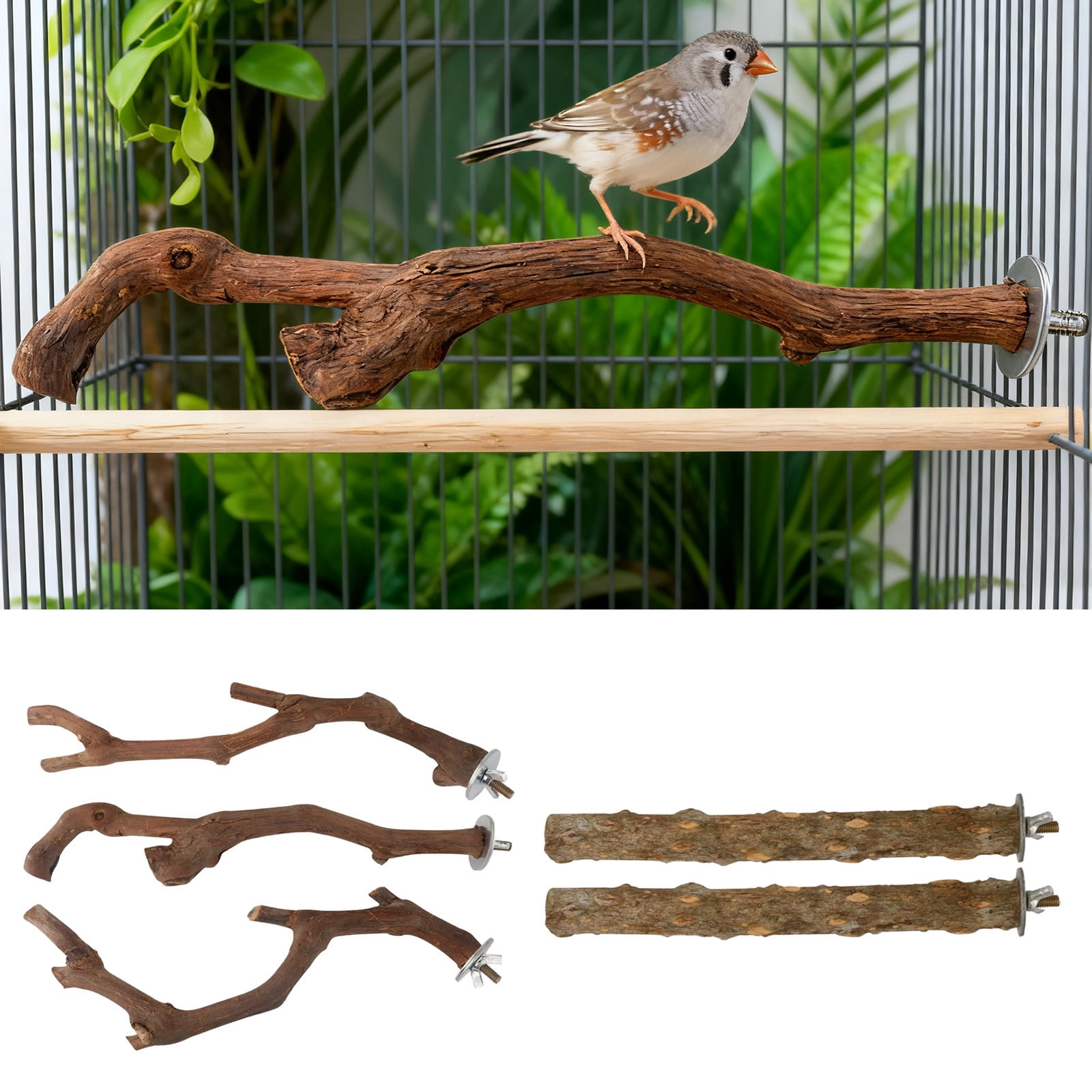 EcoNest 5PCS Bird Stand Natural Wooden Parrot Stand Grinding Fork ...