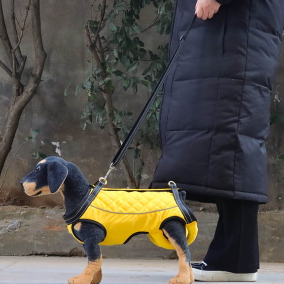 EcoNest Carrying Aid Harness Dog Lifting Harness Dog Carrying Strap For Stairs Dog Lifting Harness Adjustable Dog Carrying Strap Dog Sling & Dog Carrying Harness For Small