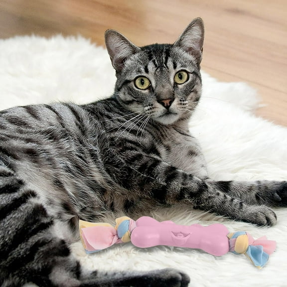 EcoNest Durable Dog Chew Toys For Aggressive Chewers Interactive Pet Teeth Cleaning Toys Puppy Teething Toys Long Lasting Plastic Dog Bone Toy For Small Medium Large Dogs