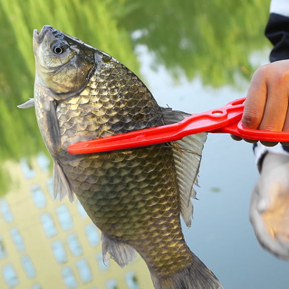 EcoNest Fishing Pliers Fish Tool Fish Metal Fish Hook Remover Tool Fish For Fishing For Anglers Heavy Duty Fishing Accessories For Catch And Release，fishing Enthusiast's Gear