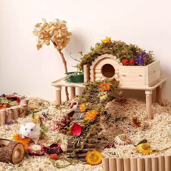 Beautiful view of Materials For Building A Hamster Cage For Odor Control