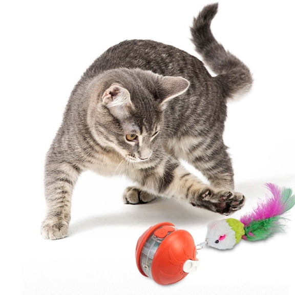 EcoNest Interactive Cat Toy With Voice Alert Lost Infrared Feather Head Detachable Design For Indoor Outdoor Play