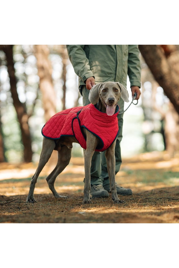 Outdoor Reflective Jacket Windproof Warm Coat With Openings Winter Warm Jacket Built In Adjustable Straps Suitable For To Wear Outdoor