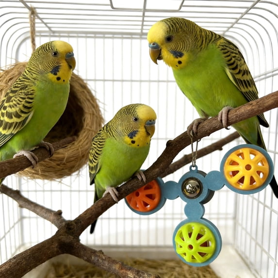 Beautiful view of Rotating Parrot Cage With Swing