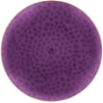thumbnail image 1 of EcoQuality 10" inch Round Hammered Translucent Purple Plastic Plates with Gold Rim - China Like Party Plates, Heavy Duty Large Disposable Dinner Charger Salad Plate Weddings, Serveware (20 Pack), 1 of 4
