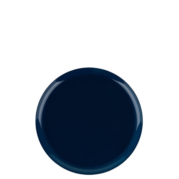 EcoQuality 6.3" inch Round Blue Disposable Plastic Plates - Heavy Duty Small Disposable Charger Dessert Plate Weddings, Serveware, China Like Salad Party Plates (240 Pack)